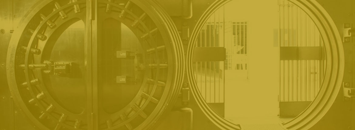 Vault Storage